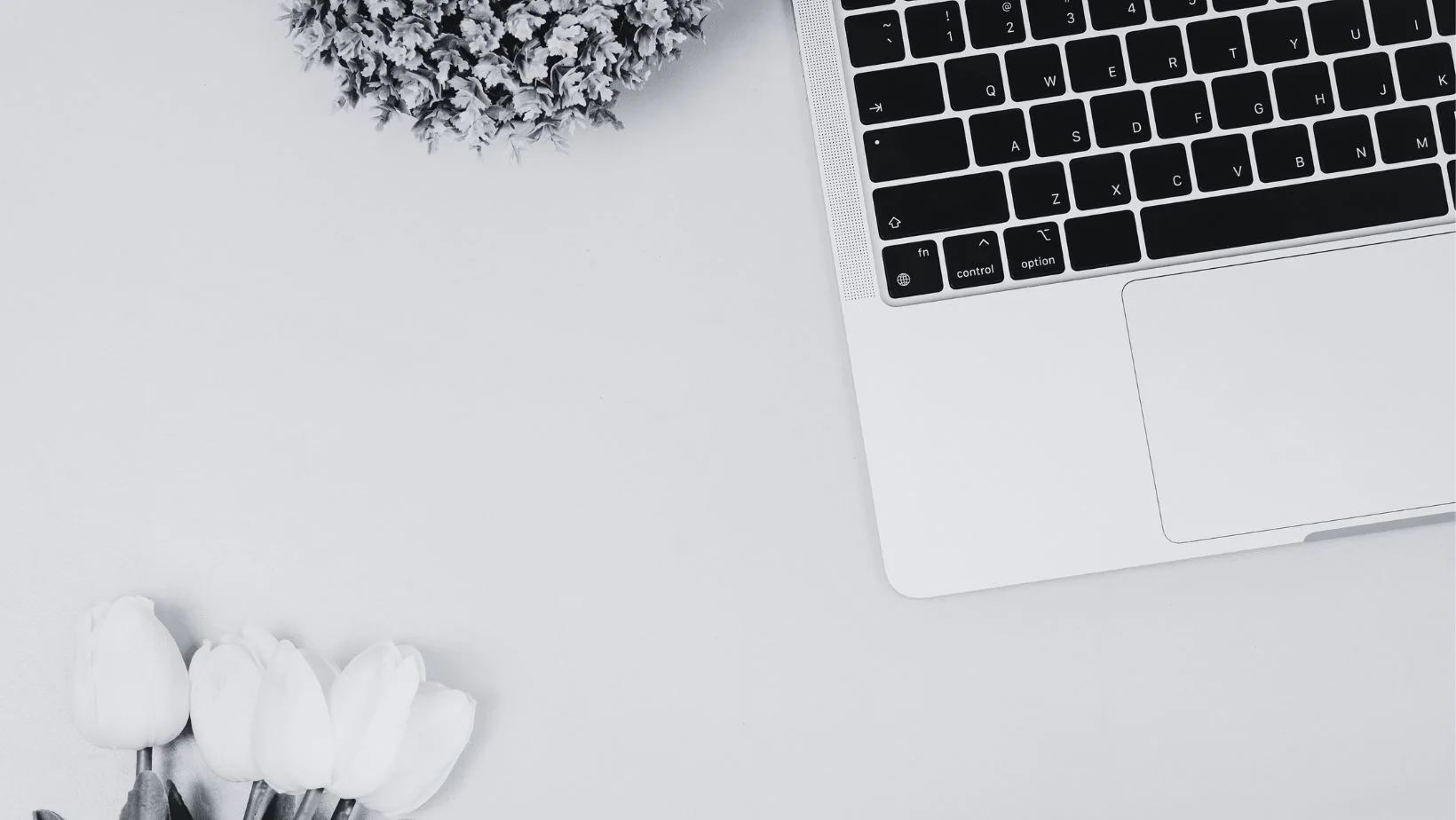 Un an plus tard : Dentoflow voit le jour, transformant ainsi la vision d'une plateforme de formation en dentisterie en une réalité tangible.