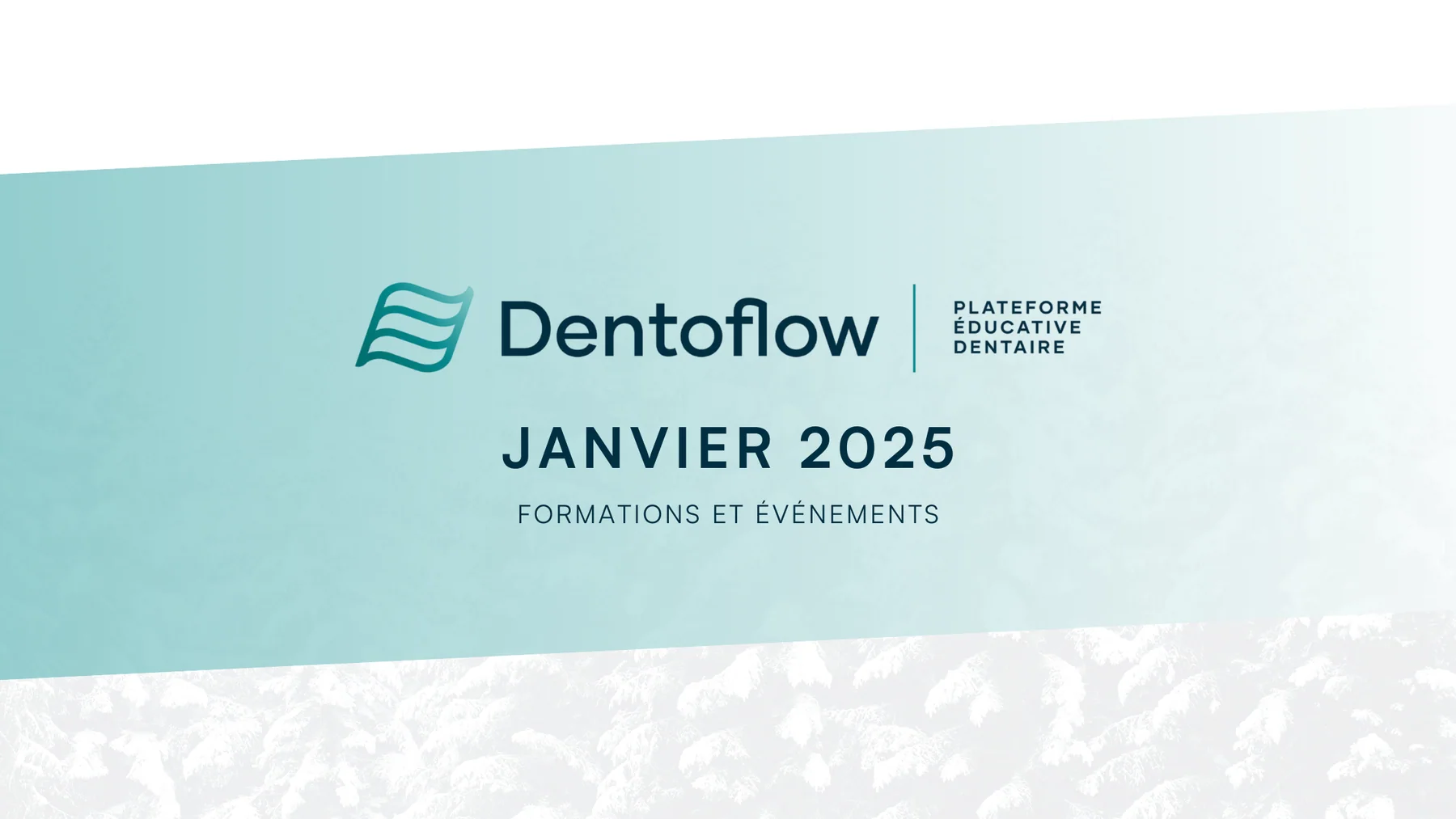 Découvrez la formation continue dentaire en janvier 2026 !