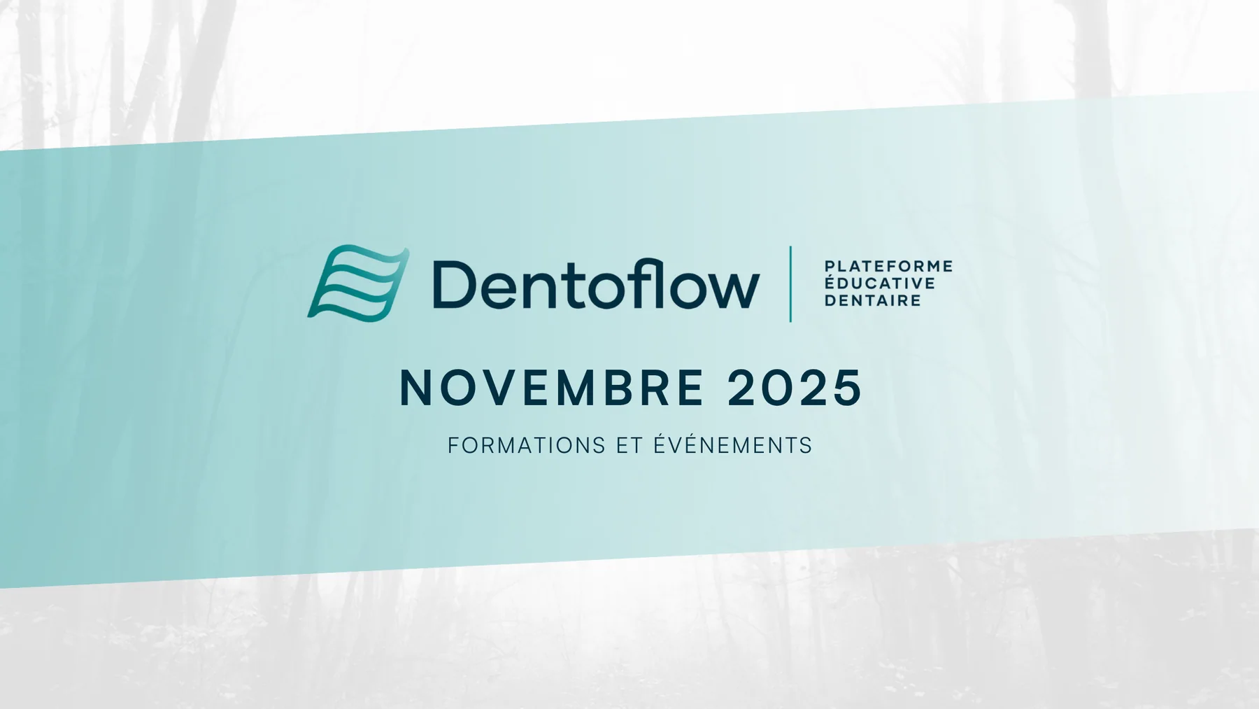 Découvrez la formation continue dentaire en novembre 2025 !