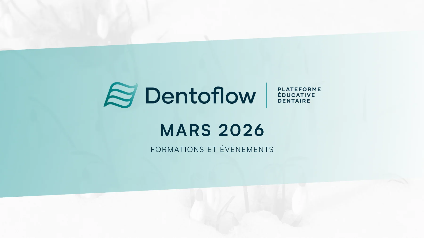Découvrez la formation continue dentaire en mars 2026 !